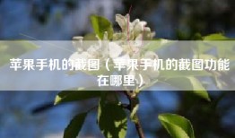 苹果手机的截图（苹果手机的截图功能在哪里）