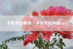 手机号码解锁（手机号码解锁app）