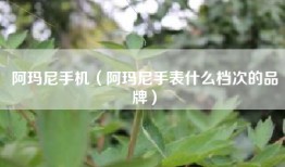 阿玛尼手机（阿玛尼手表什么档次的品牌）