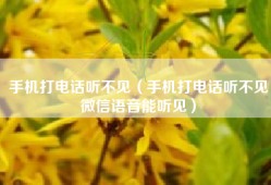 手机打电话听不见（手机打电话听不见微信语音能听见）