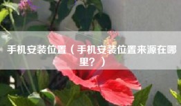 手机安装位置（手机安装位置来源在哪里？）