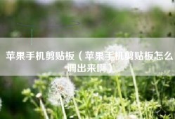 苹果手机剪贴板（苹果手机剪贴板怎么调出来啊）