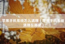 苹果手机系统怎么清理（苹果手机系统清理在哪里）