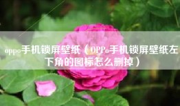 oppo手机锁屏壁纸（OPPo手机锁屏壁纸左下角的图标怎么删掉）