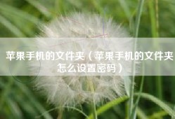 苹果手机的文件夹（苹果手机的文件夹怎么设置密码）