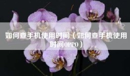 如何查手机使用时间（如何查手机使用时间OPPO）