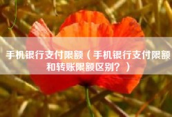 手机银行支付限额（手机银行支付限额和转账限额区别？）