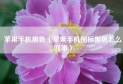 苹果手机黑色（苹果手机图标黑色怎么回事）