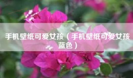 手机壁纸可爱女孩（手机壁纸可爱女孩蓝色）