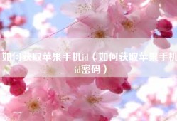 如何获取苹果手机id（如何获取苹果手机id密码）