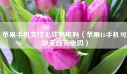 苹果手机支持无线充电吗（苹果15手机可以无线充电吗）