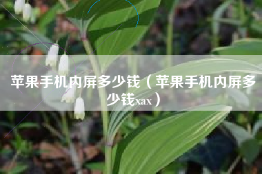 苹果手机内屏多少钱（苹果手机内屏多少钱xax）