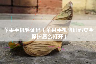 苹果手机验证码（苹果手机验证码安全保护怎么打开）