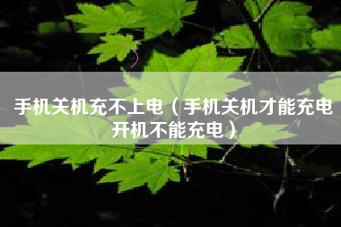 手机关机充不上电（手机关机才能充电开机不能充电）